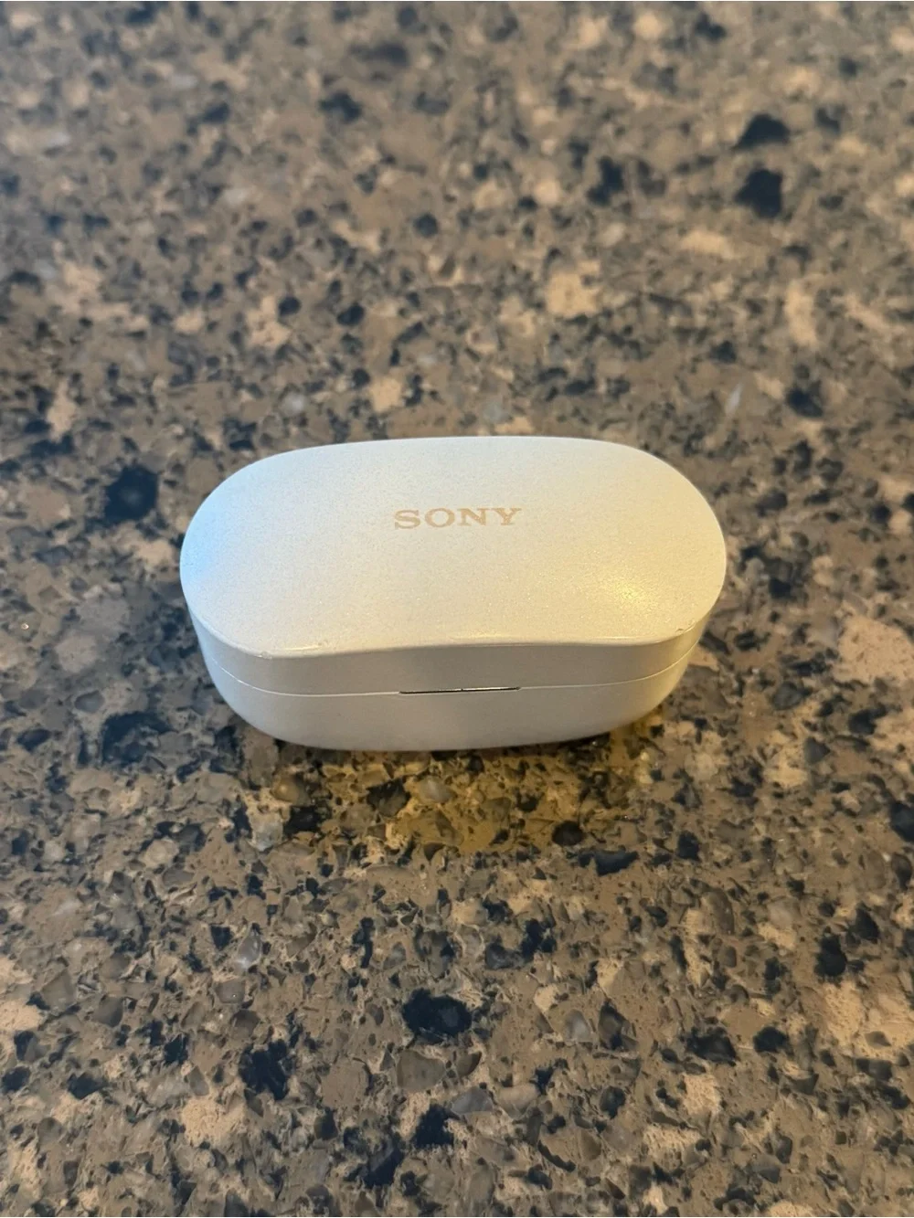 Sony true wireless